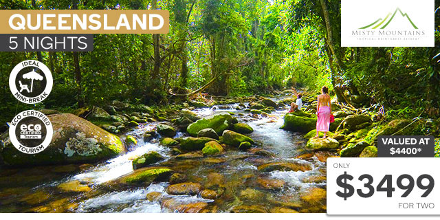 Misty Mountains Offer